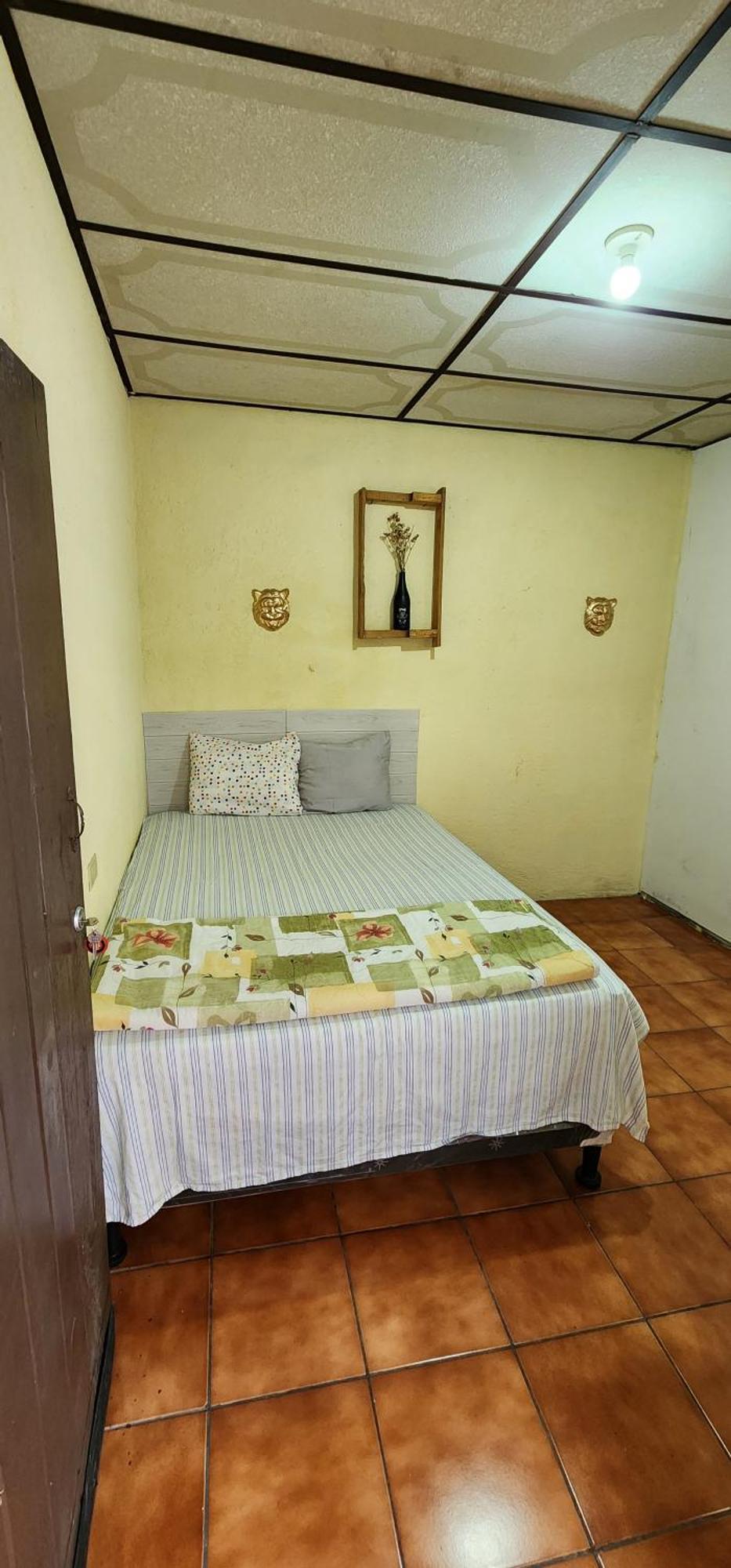 Jaguar Basic Accommodation Antigua Luaran gambar