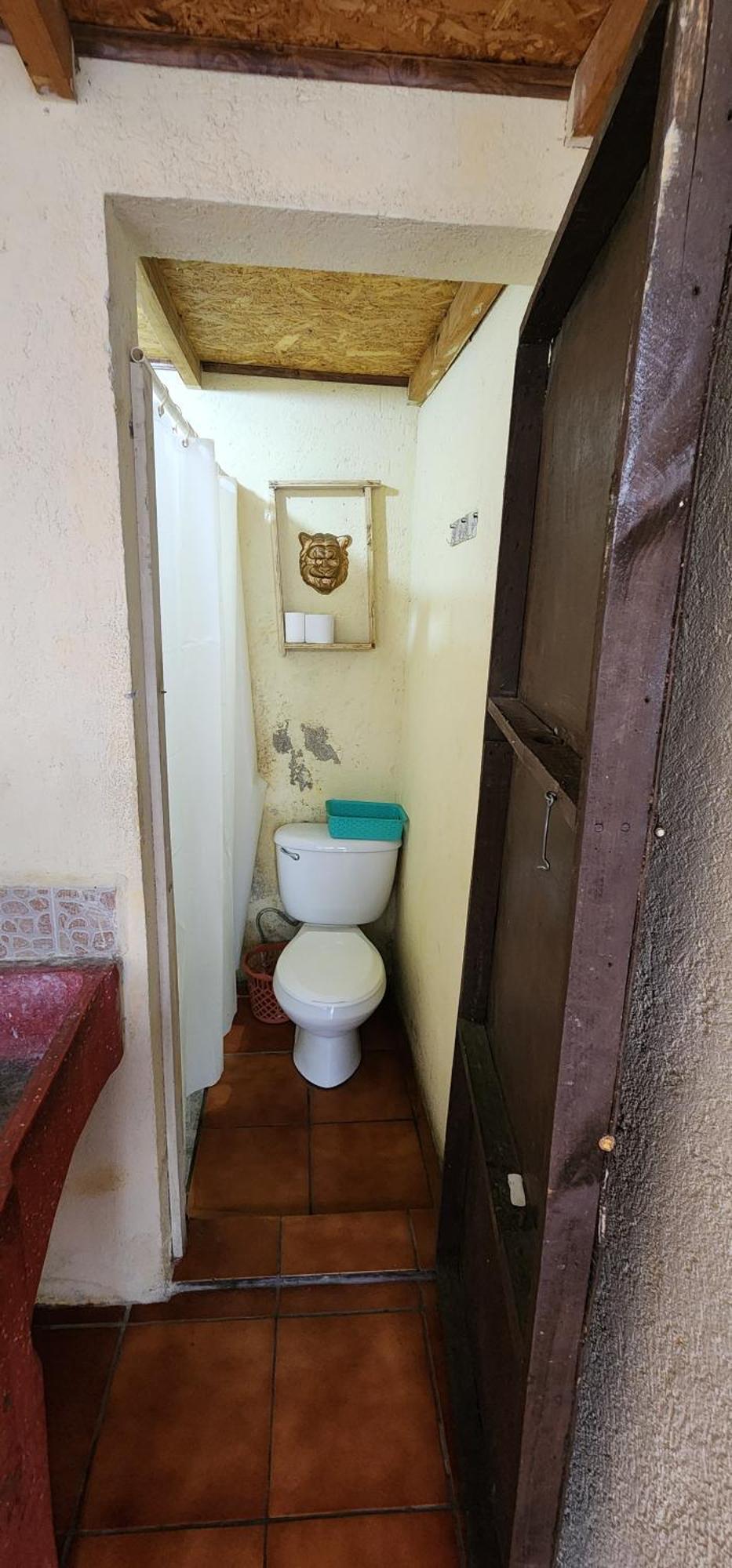Jaguar Basic Accommodation Antigua Luaran gambar